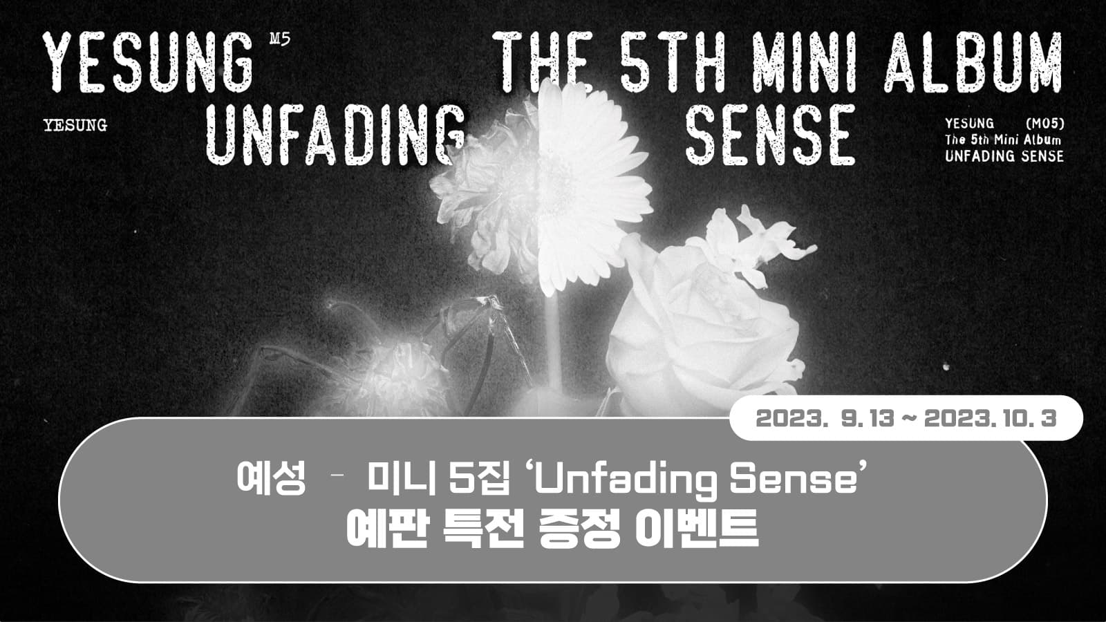 [포토카드이벤트] 예성 (YESUNG) - 미니5집 [Unfading Sense] 발매 기념 포토카드 이벤트