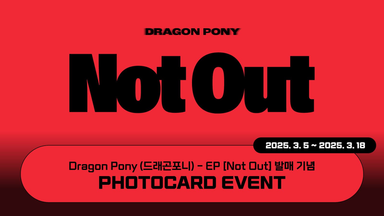 [포토카드이벤트] 드래곤포니 (Dragon Pony) EP [Not Out] 포토카드 이벤트