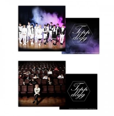 Topp Dogg Official goods CUSHION
