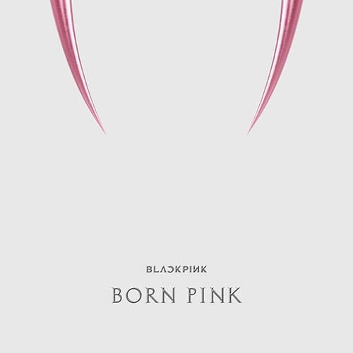 블랙핑크 (BLACKPINK) - 2nd ALBUM [BORN PINK] KiT ALBUM