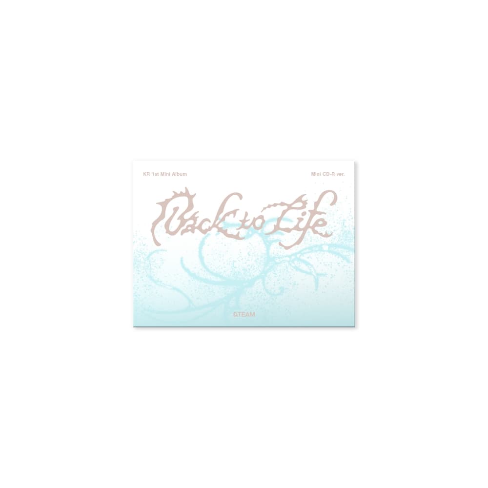 &TEAM - KR 1st Mini Album 'Back to Life' Photocard Box (Mini CD-R ver.)